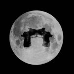 와 아오아 혜정 인스타 봄???