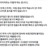 [드루와] 얘더라 내가 페북 3주 다이어트 해보고
