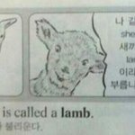 [추반] <b>오늘</b> 빼빼로 받았다 추반하자