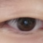 [꼭조언부탁] 겨을방학 쌍수