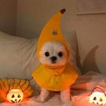 [댓글부탁해] 우리<b>반</b>에 부모님 <b>등</b>꼴빼먹는 날라리잇음