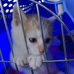 짝녀야 보고<b>시포</b>