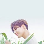 '보<b>바통</b>' 이미지 찰떡 남녀 아이돌