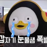 [강다니엘] 기사 봤어??????? 심장이뛴다