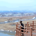 드라마 남자친구 본 사람 있어?