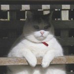 [댓글부탁해] 인천대 기계공학과 나와서 대기업 취업 <b>무리</b>지?