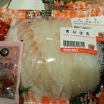 [<b>광어회</b>속았] 요즘 <b>광어회</b>가 싸다던데...홈X은...