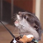 [NCT] 이거 진짜 정우같다