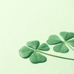 큰일났다 너네 다 찍힘