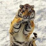 [모두드루와] 귀여워 ㅠㅠㅠㅠㅠ