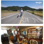 [댓글부탁해] <b>천재</b>견 근황