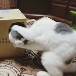무슨 상황인지 <b>감도</b> 안 와..
