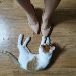 [댓글부탁해] <b>구두</b> 세개중에 뭐가 나음