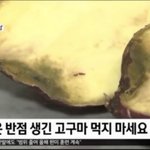 [댓글부탁해] 검은<b>반점</b> 생긴 고구마 먹지 마세요