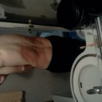 대통령님께 올리는편지