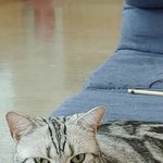 [댓글부탁해] <b>고영</b>이 까칠하게 생겼다 추반