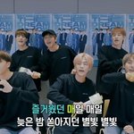 대혼란 예상되는 엔시티 드림 콘서트ㅋㅋㅋ