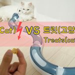 [웃김주의] 고양이 간식과 고양이의 <b>처절</b>한 싸움