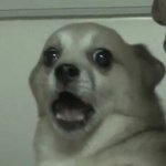 [드루와] 카메라 화질 미친거아님?ㅋㅋㅋㅋㅋ