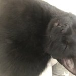 아 나 요즘 왜이렇게 <b>폭식</b>하지ㅠ