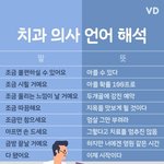 [모두드루와] 치과의사 <b>언어</b> 해석