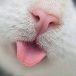 [드루와] 고3 오늘 <b>수능</b> 후기 ㄱㄱ