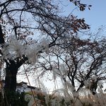 [개깊은빡침] 참..<b>지각</b>도 병이다...수능 <b>지각</b>