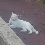 [드루와] 수능쳤는데 돈 도둑맞음