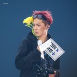 [위너] <b>민호</b> 해바라기