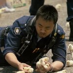 남자 배우들의 소소한 <b>TMI</b>