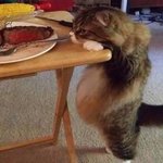 <b>짝</b>녀야 만나면 <b>니</b> 배 만져봐도 돼?