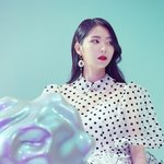 [드루와] 오늘 데뷔하는 프듀 출신 가수