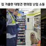 편의점 난입 <b>소동</b>