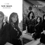 걸그룹 리더가 팬들을 대하는 법