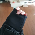 고슴도치 키우는 애들와봐 제발