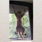 <b>터치</b>안할테니까 울집에서 자고가랑