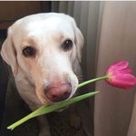 [혼자하는말] 나?? <b>YOU</b> 씨야!