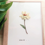 [드루와] 일기장 살말 추반<b>해쥬</b>