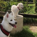유튜브에서 <b>수능</b> <b>관련</b> 영상 지워버리는 방법