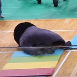 우리 <b>수학학원쌤</b> 완전 사랑꾼이었음;