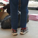 [고양이] 버림받고 떠돌다가 비참하게 죽은 아이의 <b>사인</b>(死因)은?