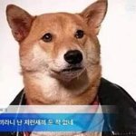 [드루와] 손으로 라인 잡은거랑 쌍수한거달라?
