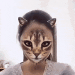 [댓글부탁해] 고앵이 필터에 놀라 <b>집사</b> 확인하는 냥이들