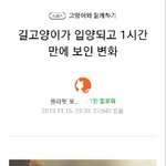 [모두드루와] 길고양이가 <b>입양</b>되고 1시간만에 보인 변화