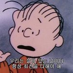 [드루와] 나 쌍수 무슨라인으로 하지