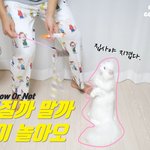 [웃김주의] 나는 가끔 <b>집사</b>이길 포기한다.