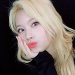 사나 <b>정화</b>
