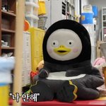 [드루와] 너네는 당장 유학 간다면 갈 수 있어?