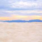 [댓글부탁해] <b>중대</b> 경영 vs 이대 소비자학과