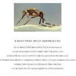 [댓글부탁해] 미국 난리난 <b>대형</b> 모기